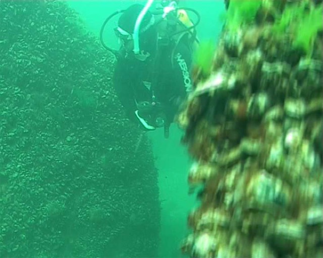 Foto von Wrack- und Unterwassertauchen 11