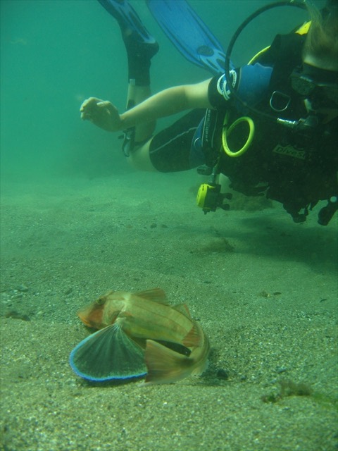 Foto von Wrack- und Unterwassertauchen 29